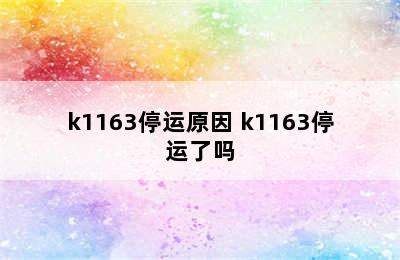 k1163停运原因 k1163停运了吗